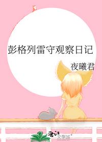 彭格列雷守观察日记
